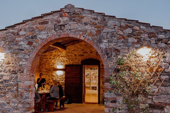 Private Chianti Tour: Two Boutique Wineries, Three-Course Lunch and Greve, 5 Hours (5/12)