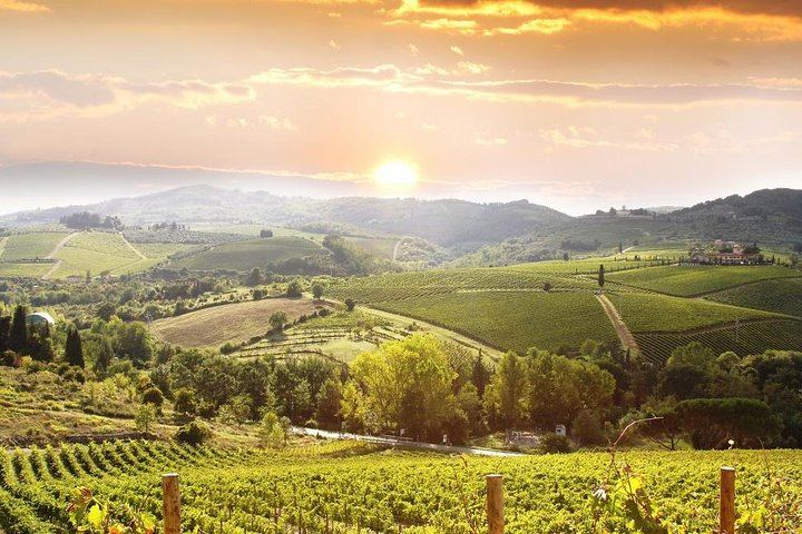 Private Chianti Wine Tour from Florence Through Rolling Hills and Small Towns (1/5)