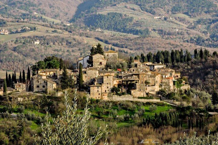 Private Chianti Wine Tour from Florence Through Rolling Hills and Small Towns (5/5)