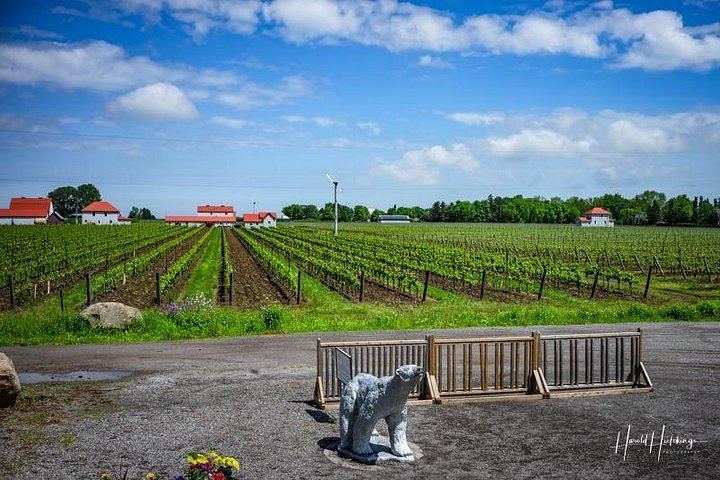Private Custom Niagara Icewine Day Tour: Up to 5 Wineries or Breweries (1/6)