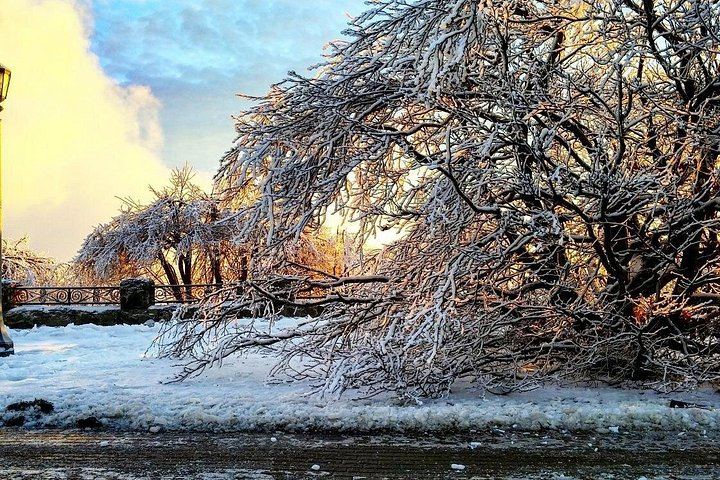 Private Custom Niagara Icewine Day Tour: Up to 5 Wineries or Breweries (6/6)