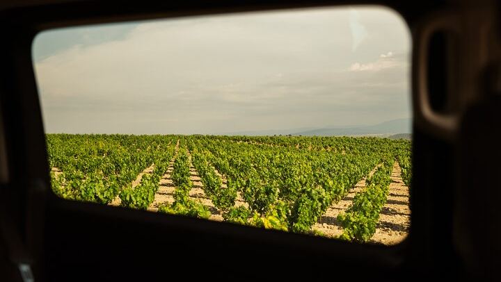 Private Rioja Day from San Sebastian: Briones, 15th-Century Cellar, Haro, Labastida (4/9)