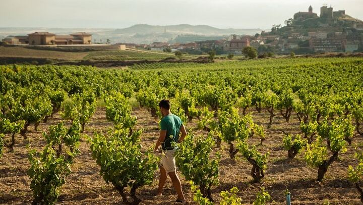 Private Rioja Day from San Sebastian: Briones, 15th-Century Cellar, Haro, Labastida (1/9)