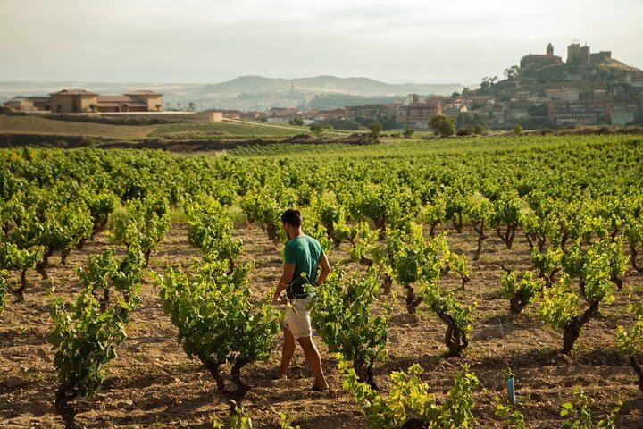 Private Rioja Day from San Sebastian: Briones, 15th-Century Cellar, Haro, Labastida (1/9)