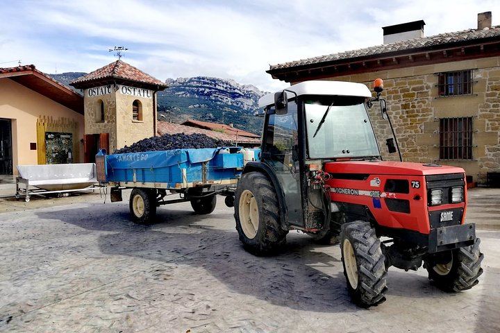 Private Rioja Day from San Sebastian: Briones, 15th-Century Cellar, Haro, Labastida (8/9)