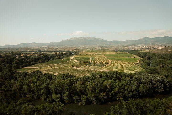 Private Rioja Day from San Sebastian: Briones, 15th-Century Cellar, Haro, Labastida (5/9)