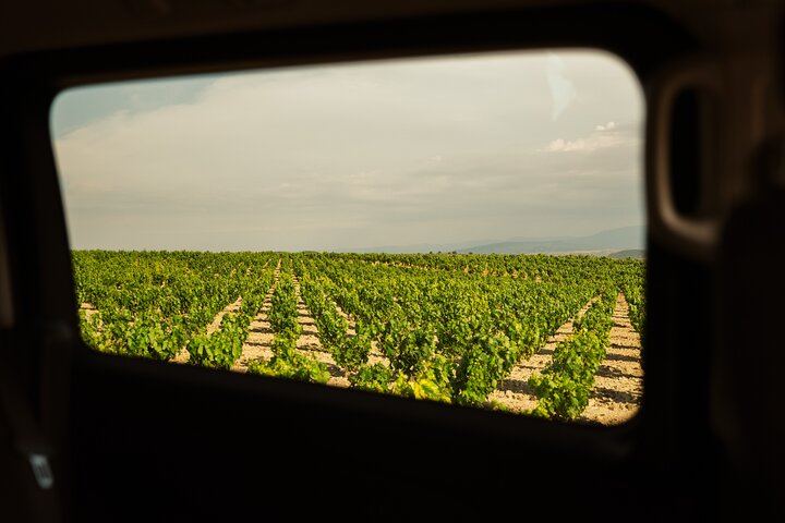 Private Rioja Day from San Sebastian: Briones, 15th-Century Cellar, Haro, Labastida (4/9)