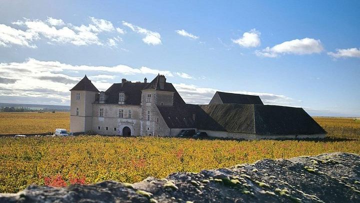 Private Burgundy Day: Two Family Estates and Clos de Vougeot, Pickup in Dijon or Beaune (3/8)