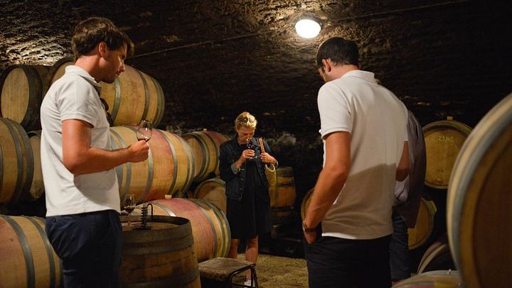 Private Burgundy Day: Two Family Estates and Clos de Vougeot, Pickup in Dijon or Beaune (4/8)