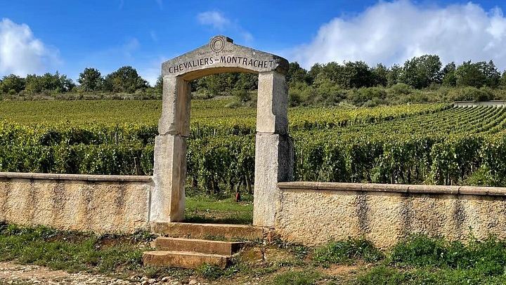 Private Burgundy Day: Two Family Estates and Clos de Vougeot, Pickup in Dijon or Beaune (1/8)