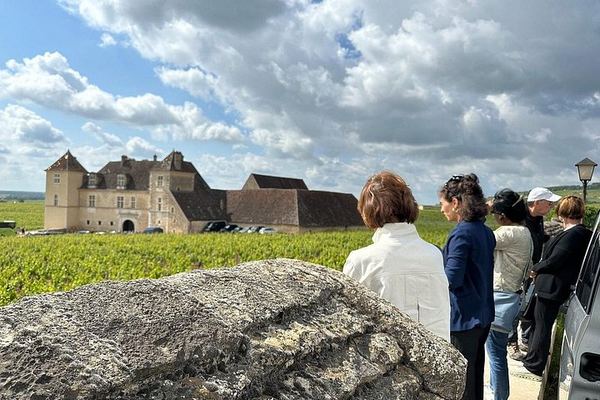 Private Burgundy Day: Two Family Estates and Clos de Vougeot, Pickup in Dijon or Beaune