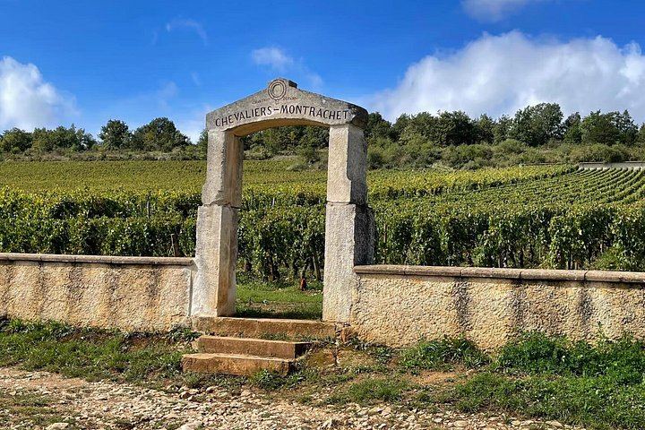 Private Burgundy Day: Two Family Estates and Clos de Vougeot, Pickup in Dijon or Beaune (1/8)