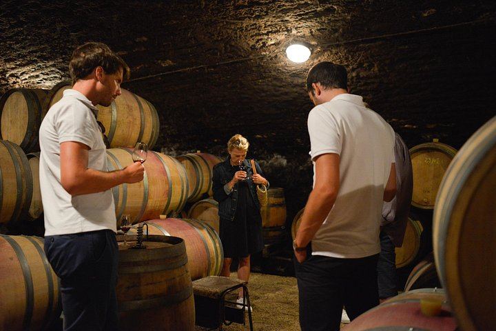 Private Burgundy Day: Two Family Estates and Clos de Vougeot, Pickup in Dijon or Beaune (4/8)