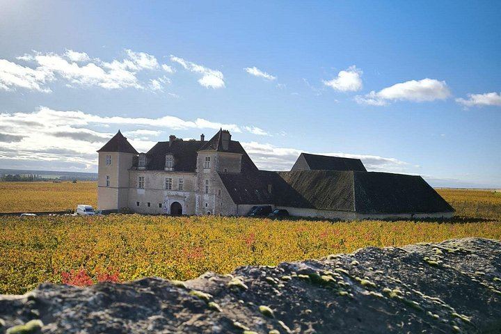 Private Burgundy Day: Two Family Estates and Clos de Vougeot, Pickup in Dijon or Beaune (3/8)
