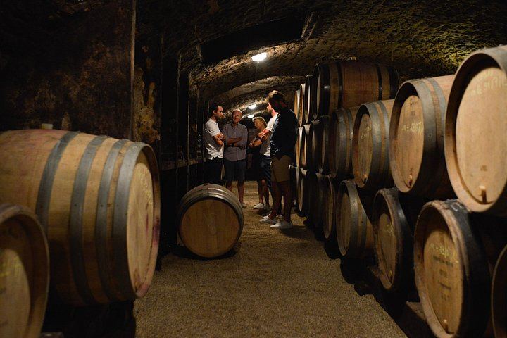 Private Burgundy Day: Two Family Estates and Clos de Vougeot, Pickup in Dijon or Beaune (8/8)