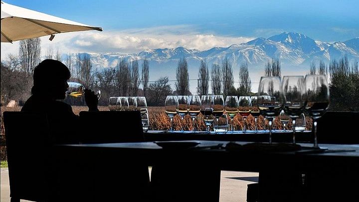 Private Mendoza Day: High-End Winery, Olive Oil Factory, Optional Flight from Buenos Aires (2/12)