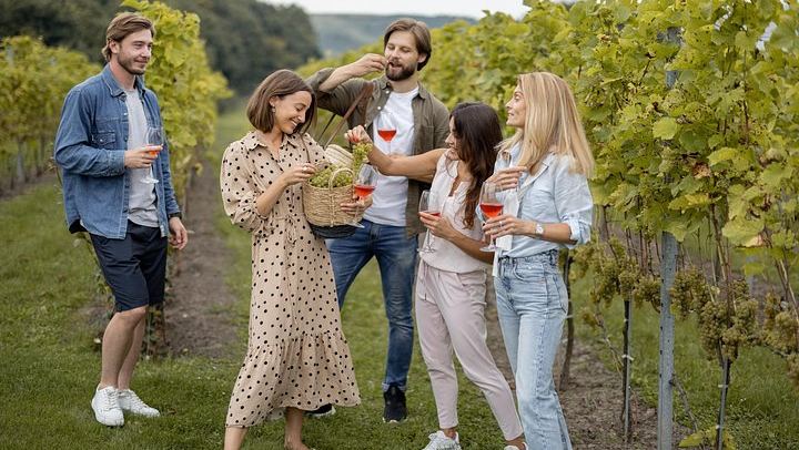 Private Mendoza Day: High-End Winery, Olive Oil Factory, Optional Flight from Buenos Aires (1/12)