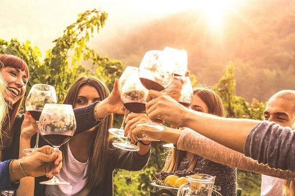Private Mendoza Day: High-End Winery, Olive Oil Factory, Optional Flight from Buenos Aires
