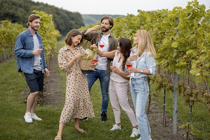 Private Mendoza Day: High-End Winery, Olive Oil Factory, Optional Flight from Buenos Aires (1/12)
