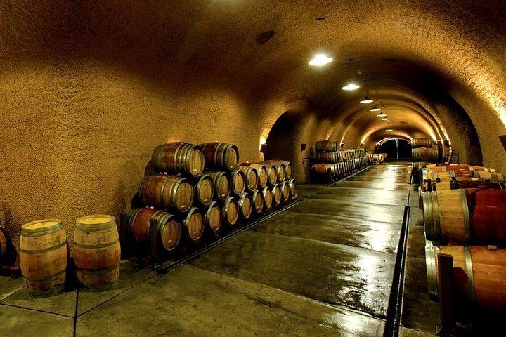 Private Mendoza Day: High-End Winery, Olive Oil Factory, Optional Flight from Buenos Aires (9/12)