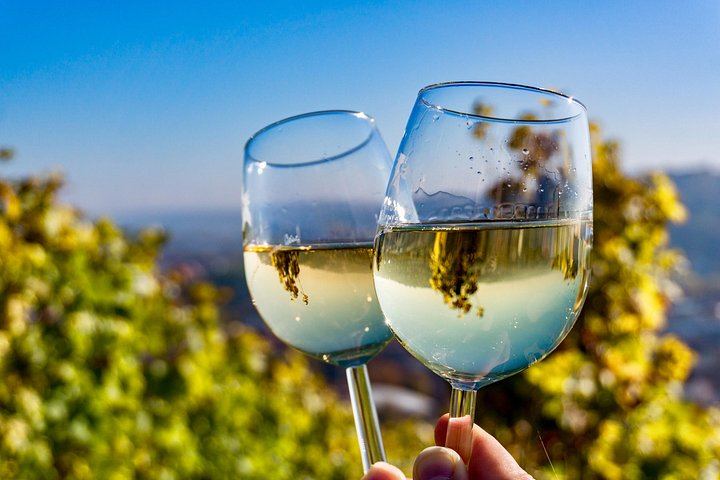 Private Mendoza Day: High-End Winery, Olive Oil Factory, Optional Flight from Buenos Aires (6/12)