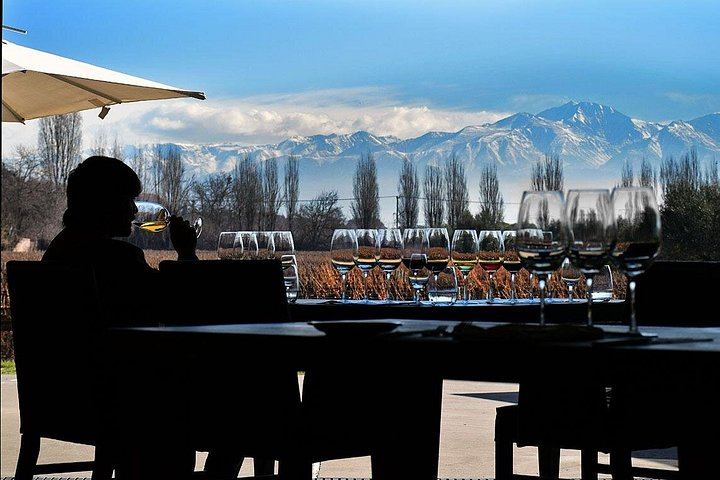 Private Mendoza Day: High-End Winery, Olive Oil Factory, Optional Flight from Buenos Aires (2/12)