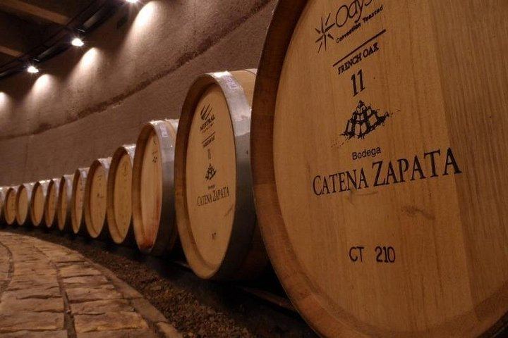 Private Mendoza Day: High-End Winery, Olive Oil Factory, Optional Flight from Buenos Aires (10/12)