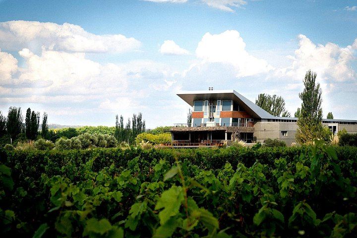 Private Mendoza Day: High-End Winery, Olive Oil Factory, Optional Flight from Buenos Aires (7/12)