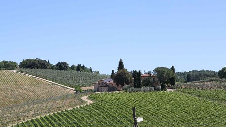 Private Day Trip from Florence: Greve in Chianti, a Chianti Winery Tasting and Siena (2/12)