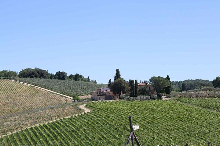Private Day Trip from Florence: Greve in Chianti, a Chianti Winery Tasting and Siena (2/12)