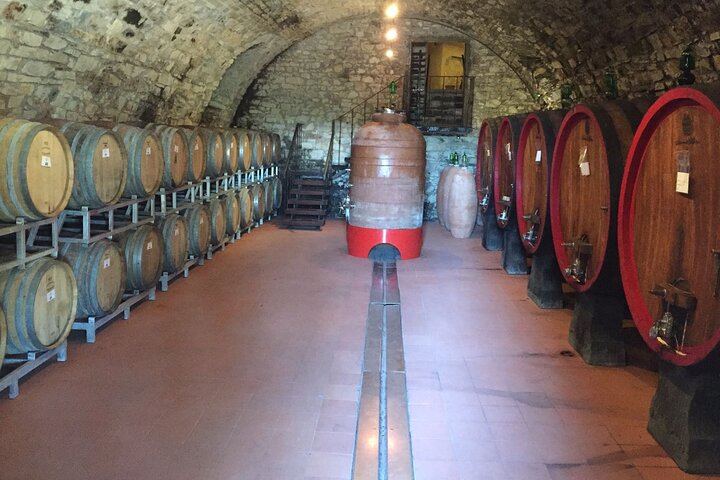 Private Day Trip from Florence: Greve in Chianti, a Chianti Winery Tasting and Siena (8/12)