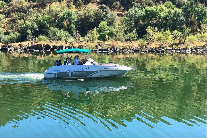 Private Douro 4x4 Tour: Off-Road Vineyard Trails, Favaios, Winery Lunch, River Cruise (9/12)