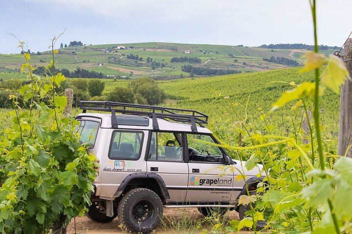 Private Douro 4x4 Tour: Off-Road Vineyard Trails, Favaios, Winery Lunch, River Cruise (10/12)