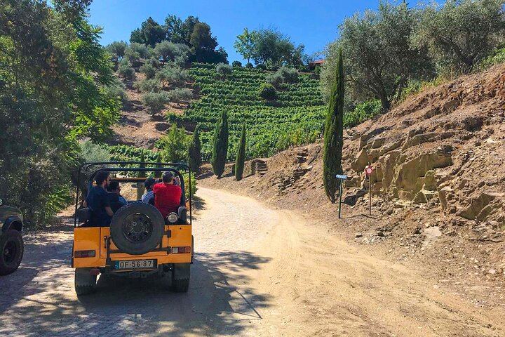 Private Douro 4x4 Tour: Off-Road Vineyard Trails, Favaios, Winery Lunch, River Cruise (7/12)