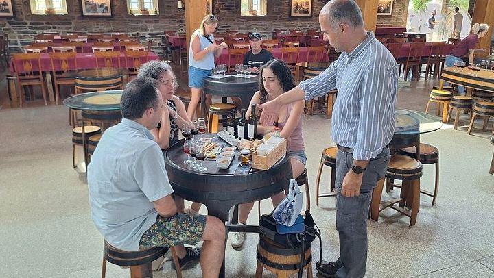 Private Douro Valley Day from Porto: Provesende, Casal de Loivos, Pinhao and N222 (2/12)