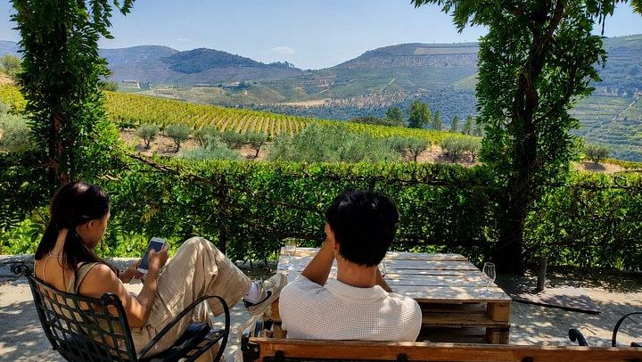 Private Douro Valley Day from Porto: Three Wineries, Family Estates and Big Names (3/12)