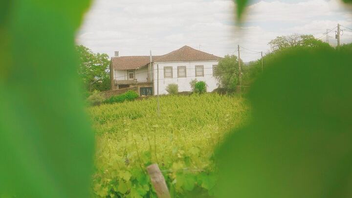 Private Douro Valley Day from Porto with Amarante Green Wine Stop, Family Winery Lunch (1/11)