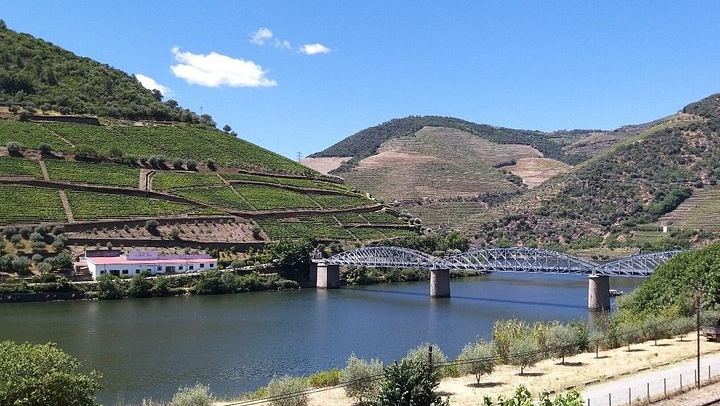Private Douro Valley Day from Porto: Provesende, Casal de Loivos, Pinhao and N222 (1/12)