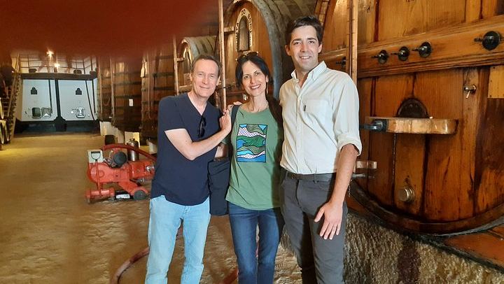 Private Douro Valley Tour with Certified Sommelier Guide, Winery Lunch and Port Tastings (2/12)