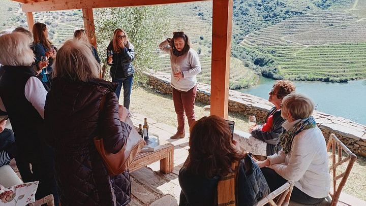 Private Douro Valley Tour with Certified Sommelier Guide, Winery Lunch and Port Tastings (3/12)