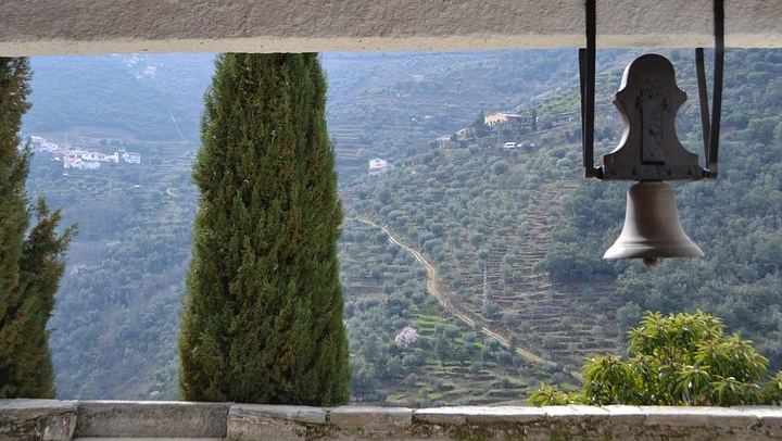 Small-Group Douro Valley Day from Porto: Three Wineries, Winery Lunch, Lapa Church Start (3/12)