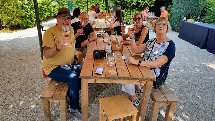 Small-Group Douro Valley Day from Porto: Four Wineries, Ten Wines and Five Olive Oils (4/12)