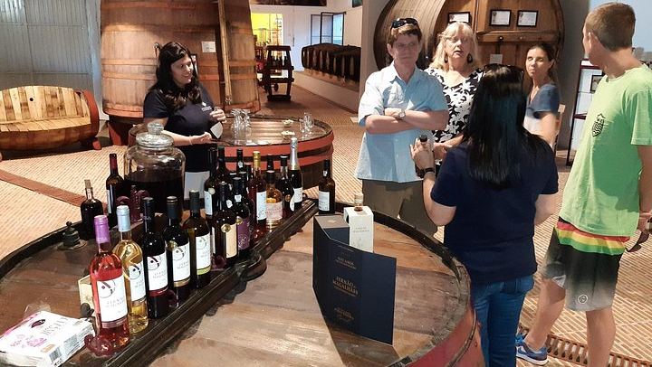 Private Douro Valley Tour with Certified Sommelier Guide, Winery Lunch and Port Tastings (4/12)