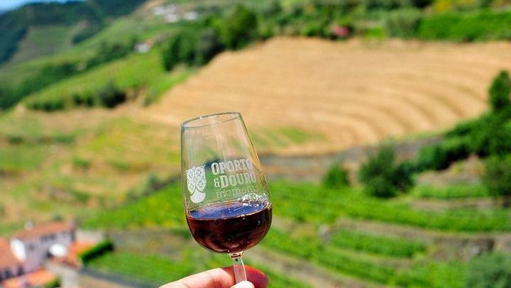 Private Off-the-Beaten-Path Douro Valley Wine Tour from Porto, Winery Lunch Stop (1/12)