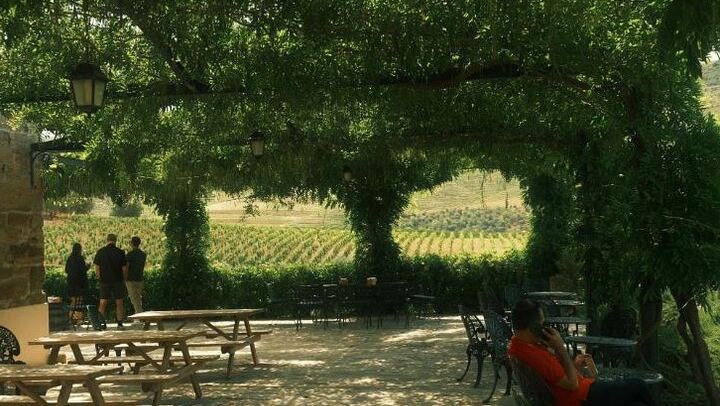 Private Douro Valley Day from Porto with Amarante Green Wine Stop, Family Winery Lunch (3/11)