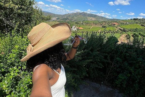 Private Douro Valley Day from Porto: Three Wineries, Family Estates and Big Names