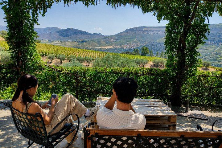 Small-Group Douro Valley Day from Porto: Four Wineries, Ten Wines and Five Olive Oils (7/12)