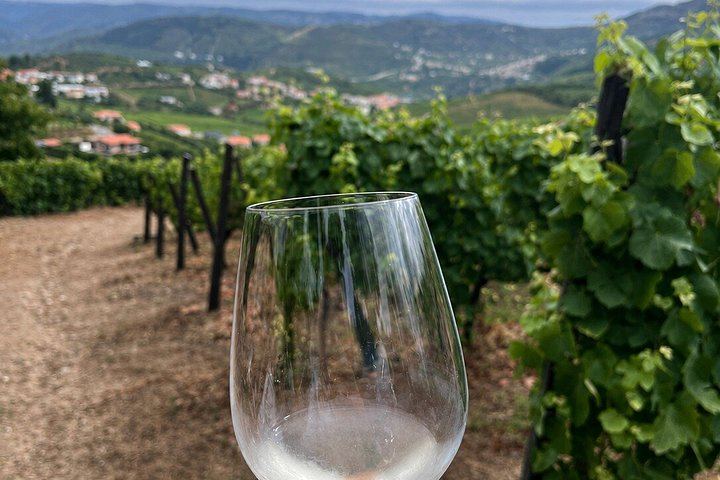 Private Douro Valley Day from Porto: Three Wineries, Family Estates and Big Names (12/12)