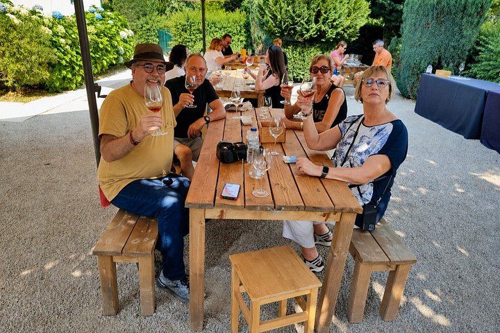 Small-Group Douro Valley Day from Porto: Four Wineries, Ten Wines and Five Olive Oils (4/12)