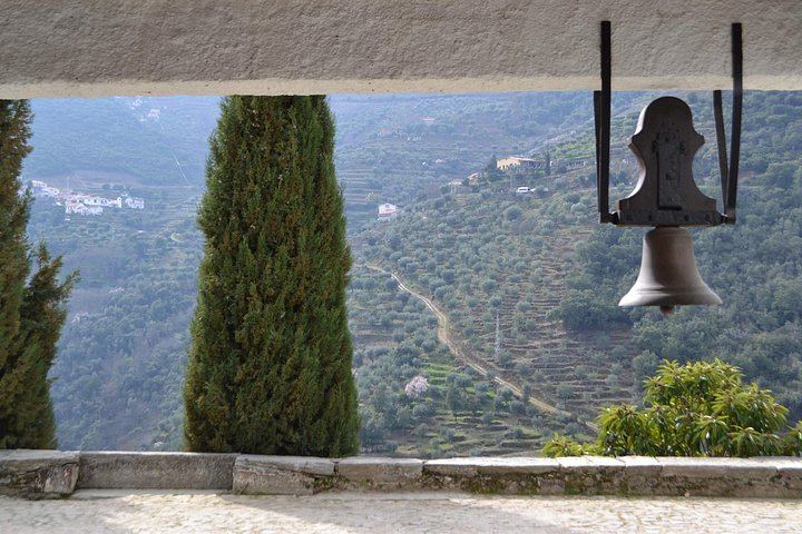 Small-Group Douro Valley Day from Porto: Three Wineries, Winery Lunch, Lapa Church Start (3/12)